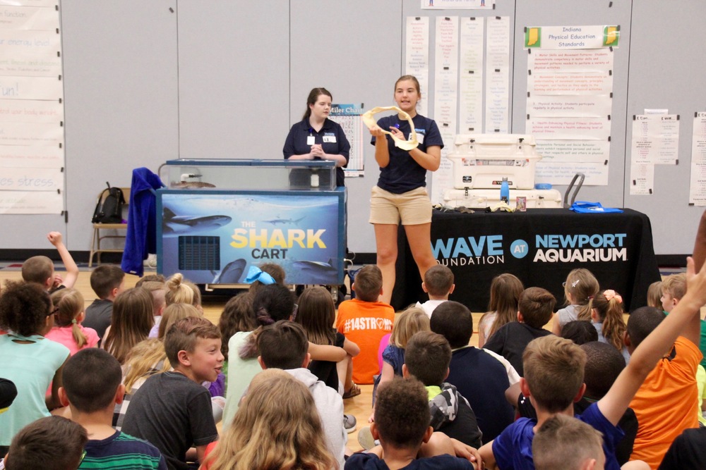 The Newport Aquarium visited Brentwood Elementary today with their Shark Cart