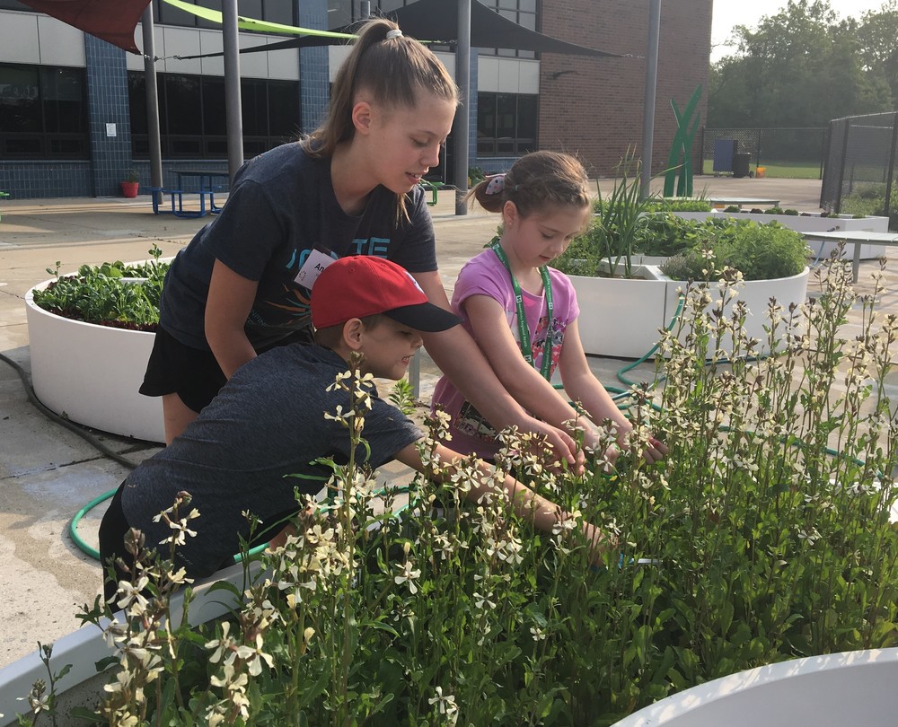 Students harvest from The Duke Learning Garden