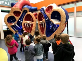 Human Body Inquiry
