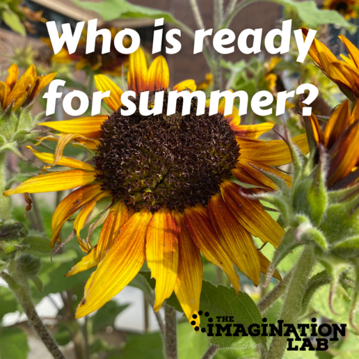 image of a sunflower with text "Who is ready for summer?"