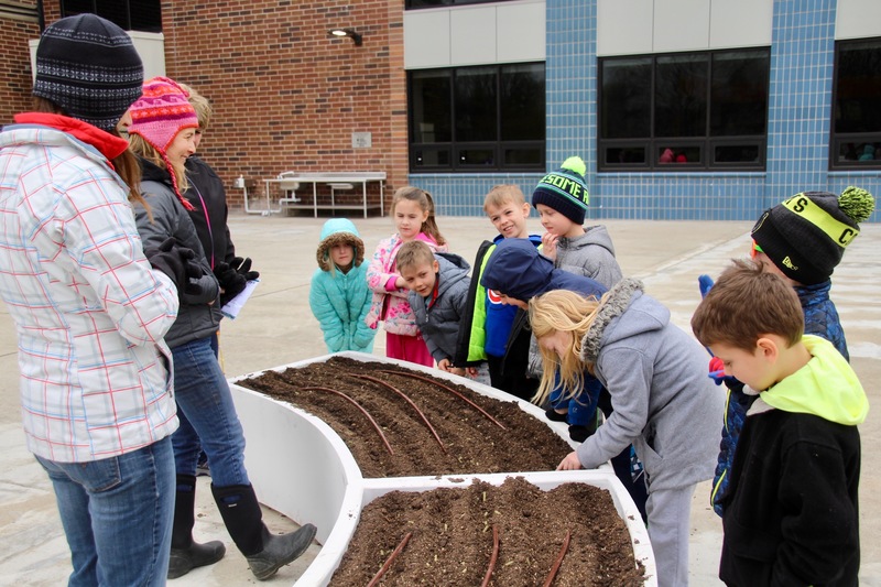 Students learned about raised bed gardening and irrigation before planting peas.