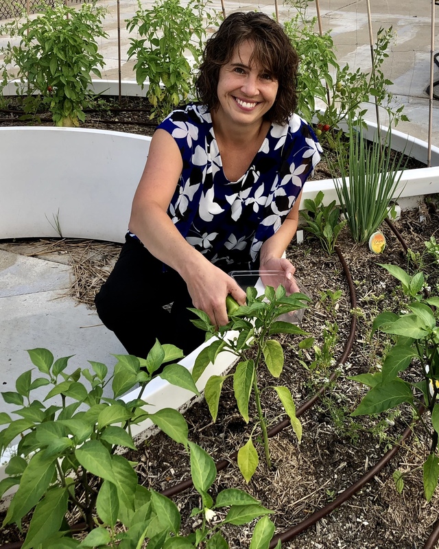 Tracy Ballinger picking peppers