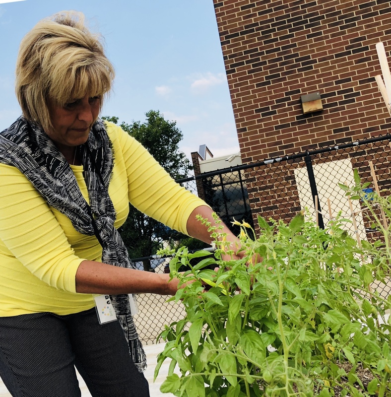 Trimming the Basil