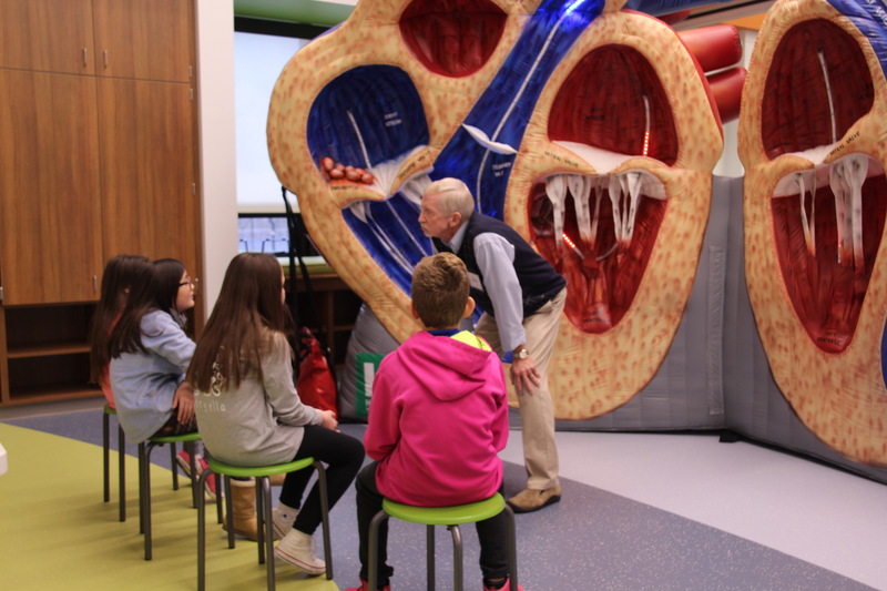 During a heart health odyssey, students learn about the chambers of the heart and how to perform CPR.