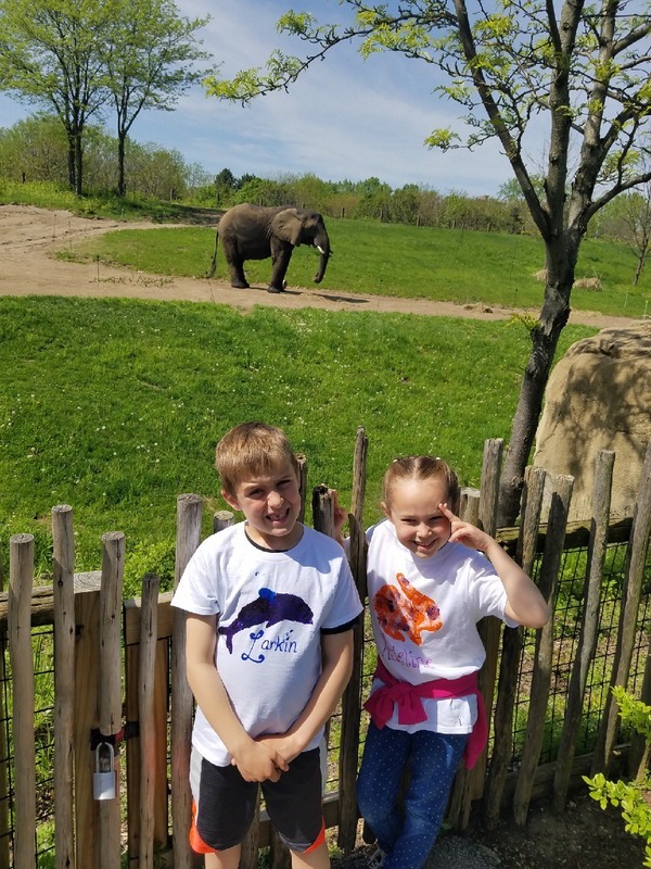 indianapolis zoo school field trip